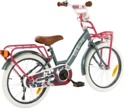 2Cycle Desire Kinderfiets - 18 Inch - Voordrager - Grijs - Meisjesfiets -Optimaal Fietsenreeksen Winkel 1200x1049 3