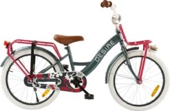 2Cycle Desire Kinderfiets - 20 Inch - Voordrager -Grijs-Roze - Meisjesfiets -Optimaal Fietsenreeksen Winkel 1200x783 5