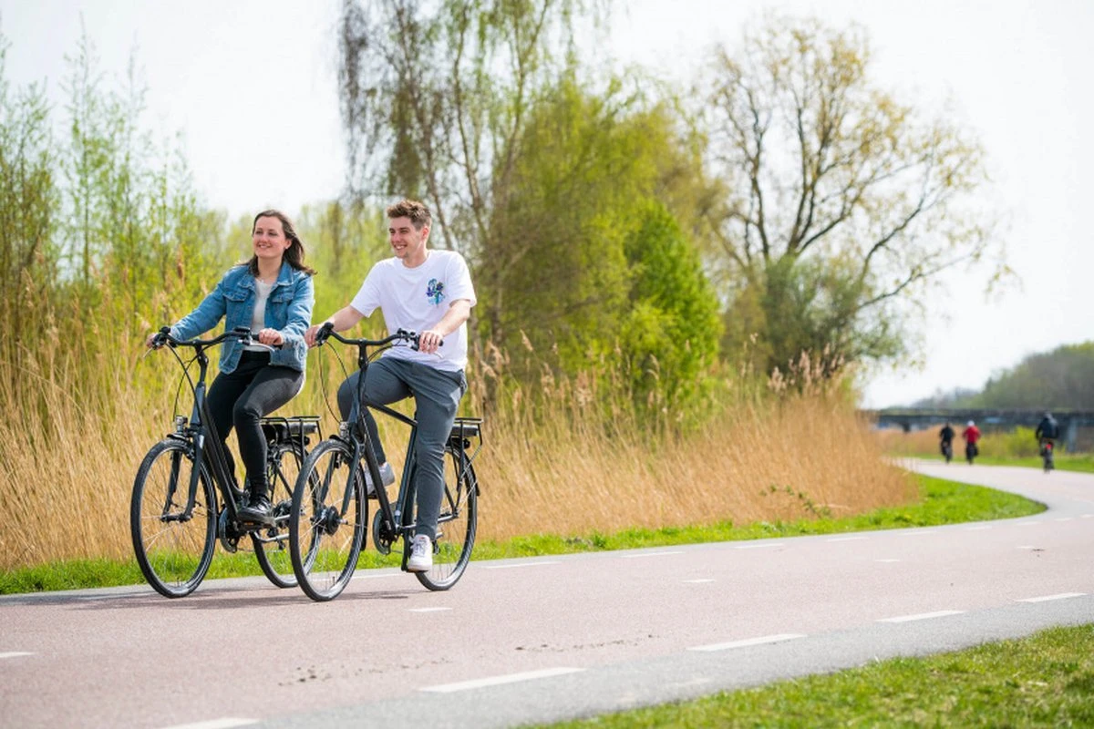 Amigo E-Vibe D1 - Elektrische Stadsfiets Voor Heren - Met 7 Versnellingen - Matgrijs 6 Amigo E-Vibe D1 - Elektrische Stadsfiets Voor Heren - Met 7 Versnellingen - Matgrijs - Afbeelding 4