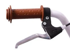 Amigo Bloom Meisjesfiets - Kinderfiets 20 Inch - Turquoise -Optimaal Fietsenreeksen Winkel 1200x876