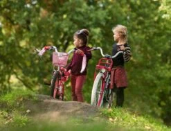 Amigo Bloom Meisjesfiets - Kinderfiets 20 Inch - Turquoise -Optimaal Fietsenreeksen Winkel 1200x917 46