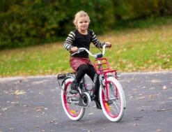 Amigo Bloom Meisjesfiets - Kinderfiets 20 Inch - Turquoise -Optimaal Fietsenreeksen Winkel 1200x917 47