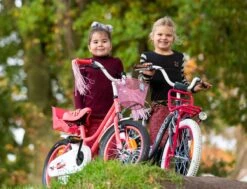Amigo Magic Meisjesfiets - Kinderfiets 12 Inch - Roze -Optimaal Fietsenreeksen Winkel 1200x917 69